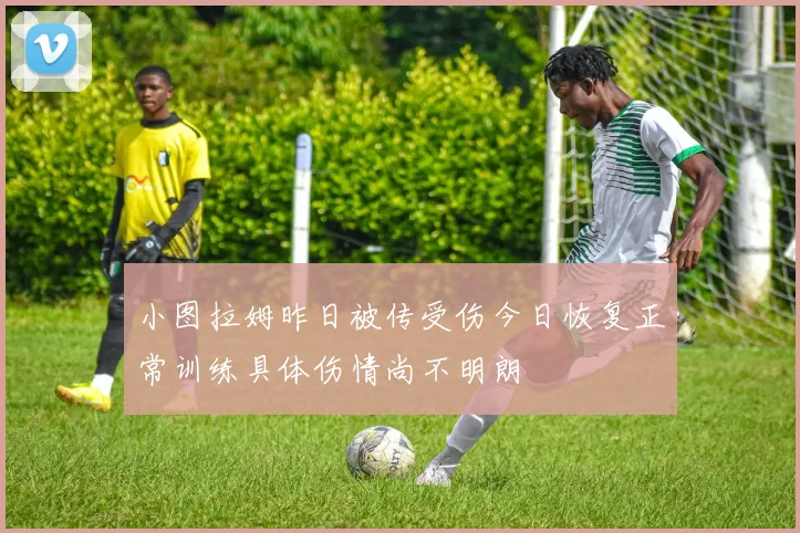 小图拉姆昨日被传受伤今日恢复正常训练具体伤情尚不明朗
