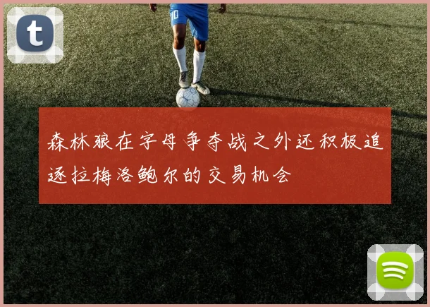 森林狼在字母争夺战之外还积极追逐拉梅洛鲍尔的交易机会